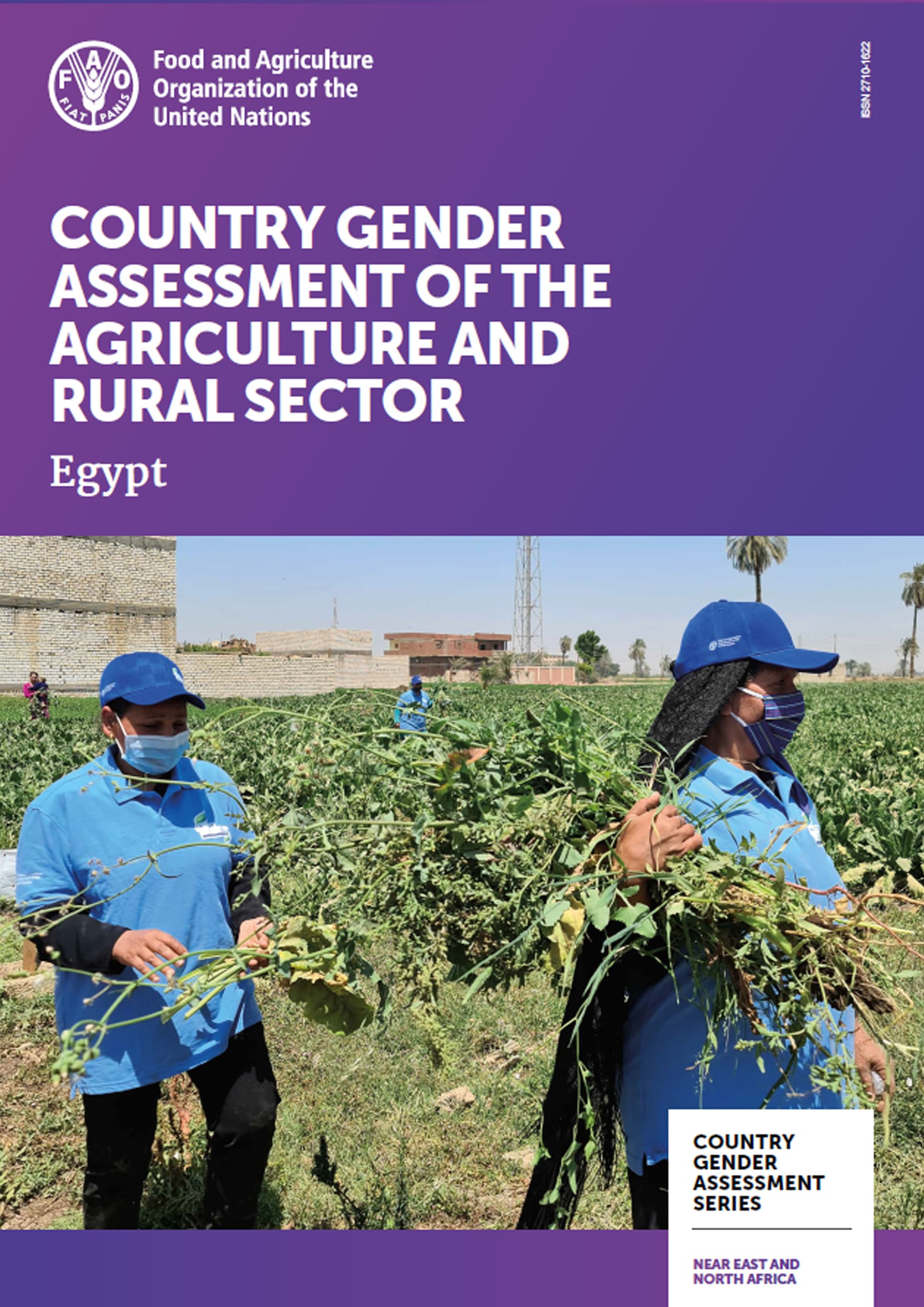 COUNTRY GENDER
ASSESSMENT OF THE
AGRICULTURE AND
RURAL SECTOR